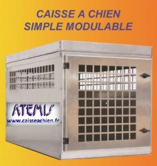 Caisse  chien Setter Caisses  chiens