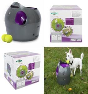 Jouet lanceur de balles automatique petsafe - accessoires