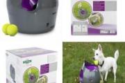 JOUET LANCEUR DE BALLES AUTOMATIQUE PETSAFE Accessoires