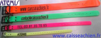 6 - Collier Grav ou Nu Biothane ATEMIS Largeur 2.5 cm x Longueur 60 Accessoires