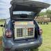 02-Caisse  chien Double Duster 4x4 