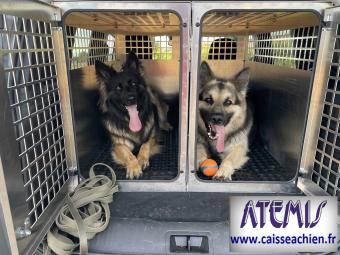 03-Caisse  chien 2 compartiments assembls